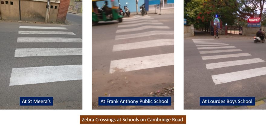 Zebra_Schools